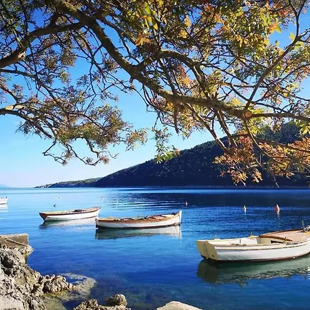 Spacious In Markoci Veli Turini